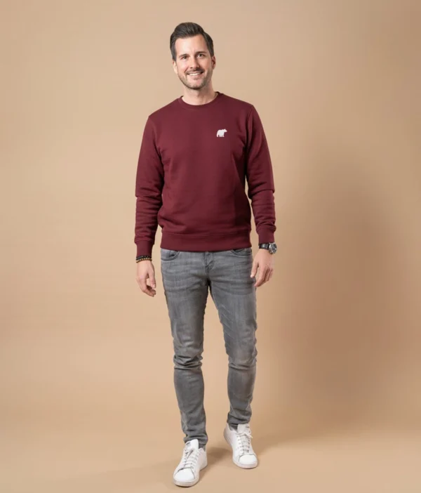 Bio Pullover ONEBEAR (Logo) – Bild 4